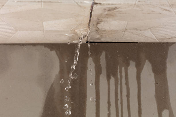 Professional Commercial Water Damage Restoration technician working in Shady Valley, TN